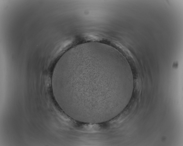 X0000092100517200709191309