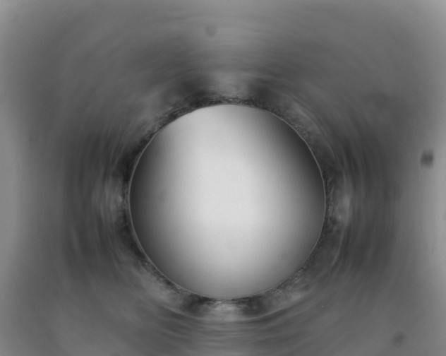 X0000092100518200709191309