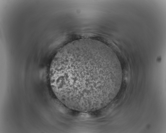 X0000092100519200709191309