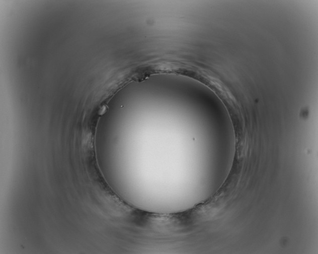 X0000092100521200709191309