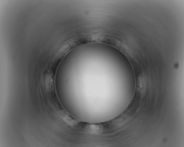 X0000092100522200709191309