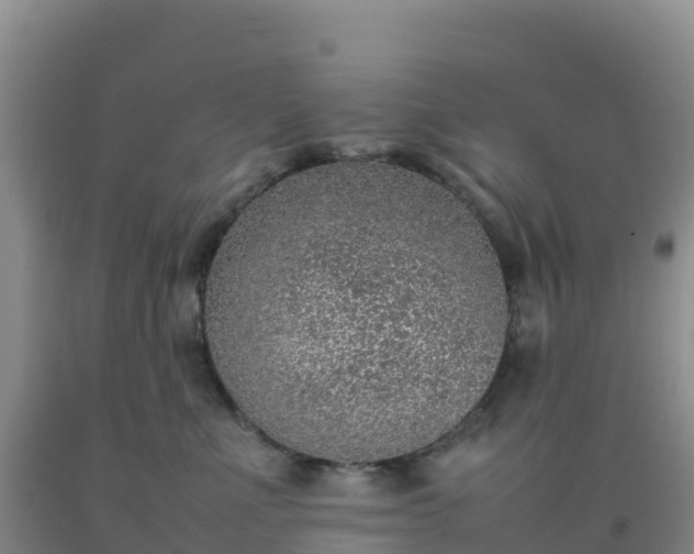 X0000092100523200709191309