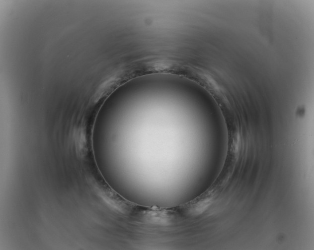 X0000092100524200709191309