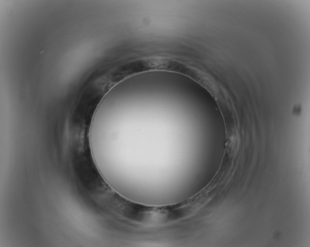 X0000092100525200709191309