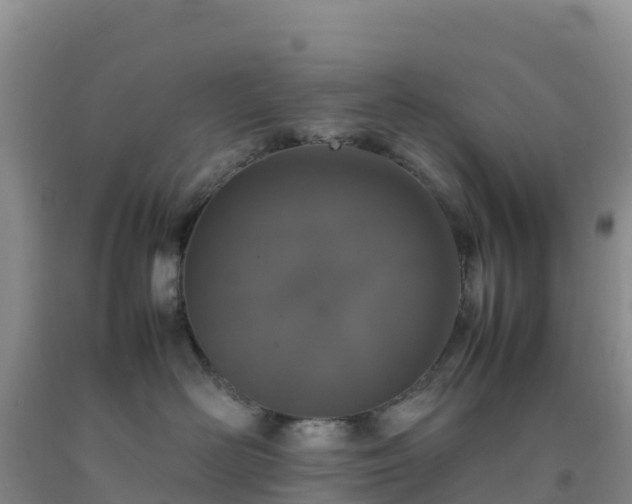 X0000092100526200709191309