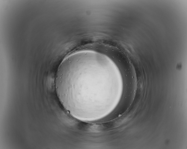 X0000092100527200709191309