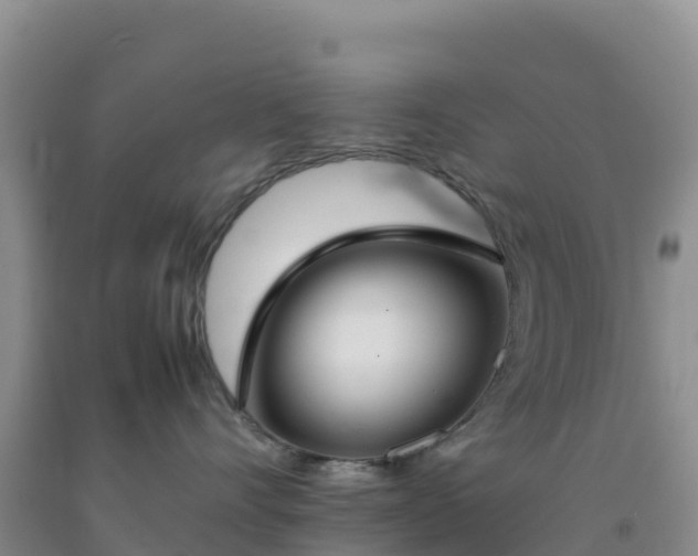 X0000092100528200709191309