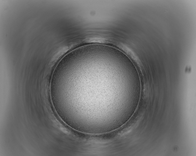 X0000092100529200709191309