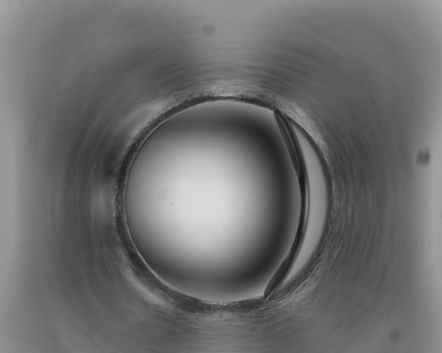 X0000092100530200709191309