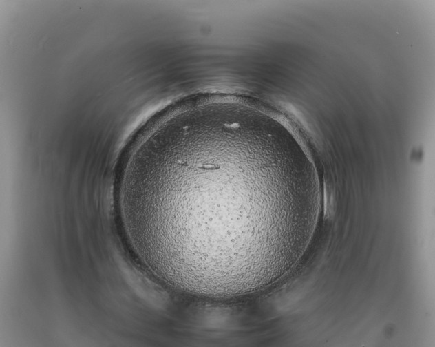 X0000092100531200709191309