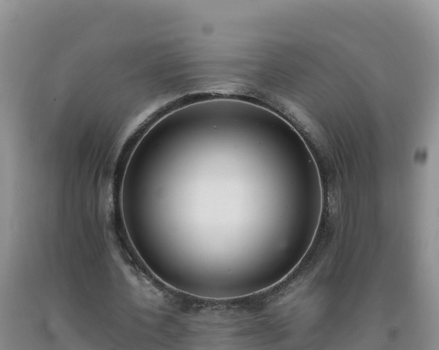 X0000092100532200709191309