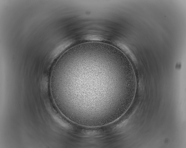 X0000092100533200709191309