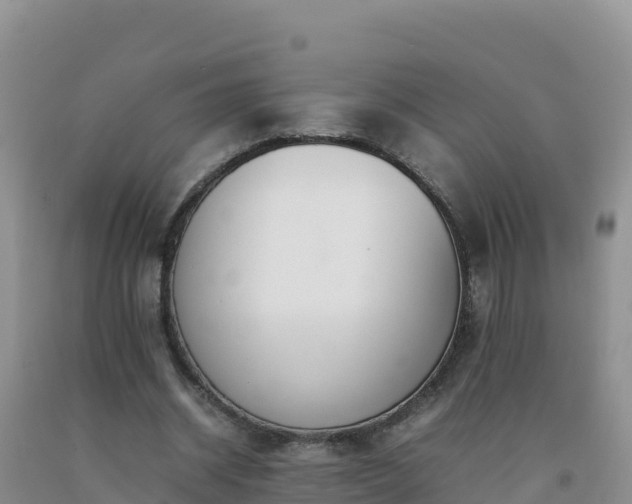 X0000092100534200709191309