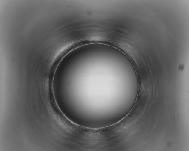 X0000092100535200709191309