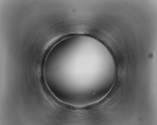 X0000092100536200709191309