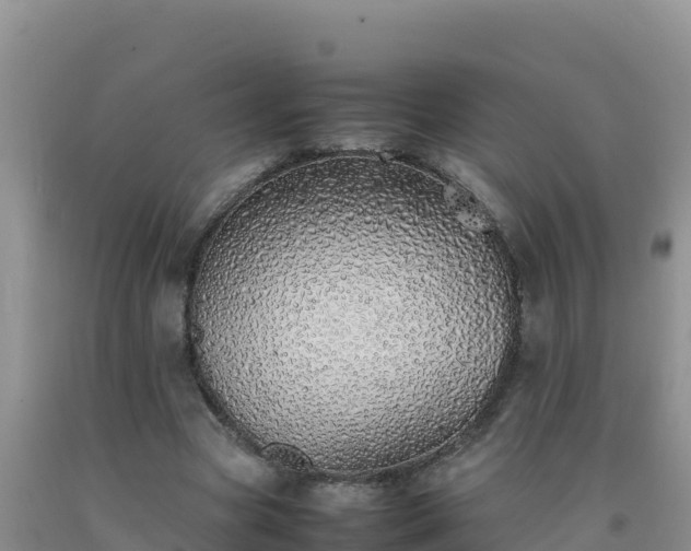 X0000092100537200709191309