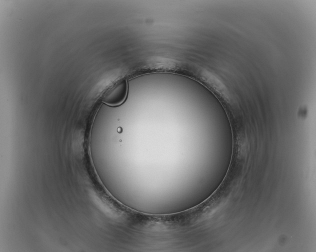 X0000092100538200709191309