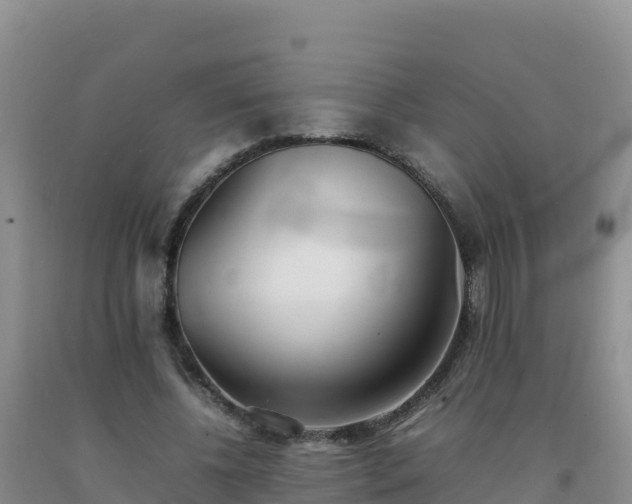 X0000092100540200709191309