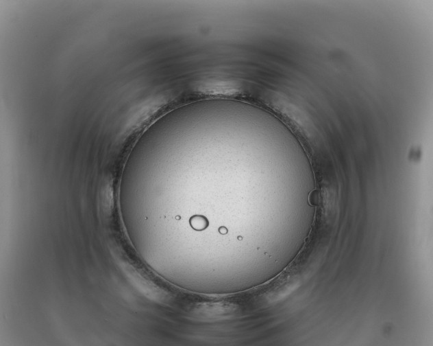 X0000092100541200709191309