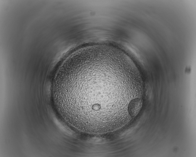 X0000092100542200709191309