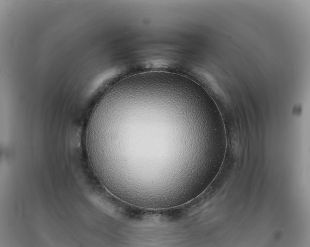 X0000092100543200709191309