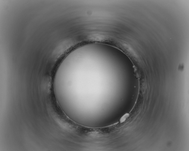 X0000092100544200709191309