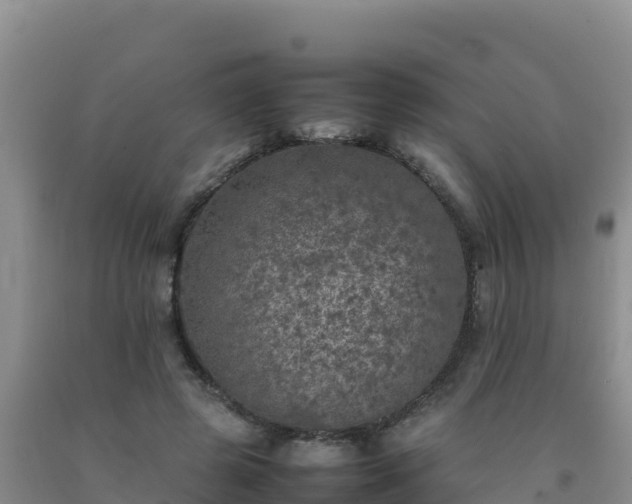 X0000092100545200709191309