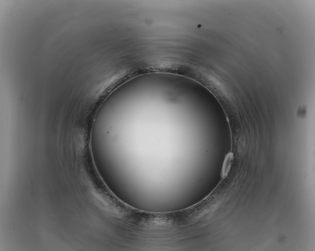 X0000092100546200709191309