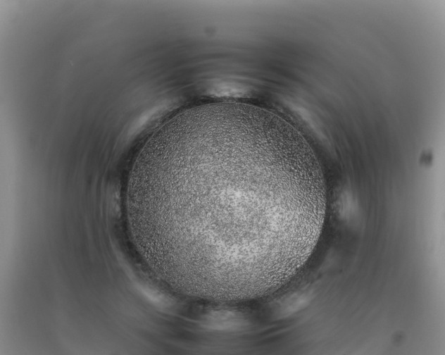 X0000092100547200709191309