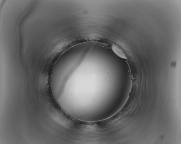 X0000092100548200709191309