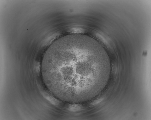 X0000092100549200709191309