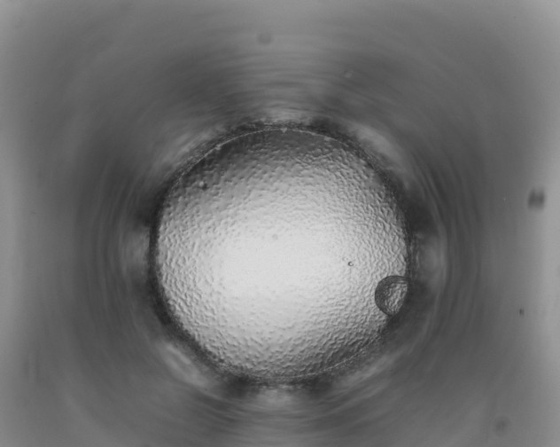 X0000092100550200709191309