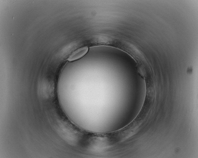 X0000092100552200709191309