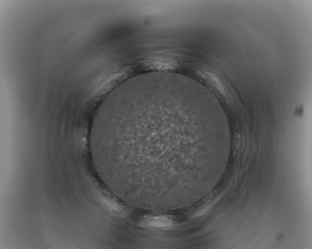 X0000092100553200709191309