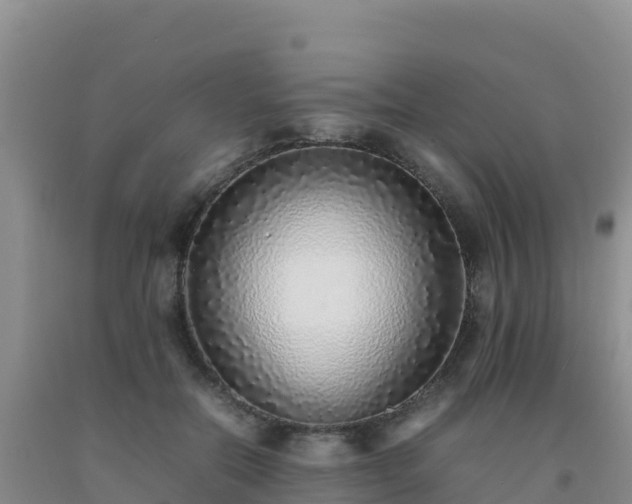 X0000092100554200709191309