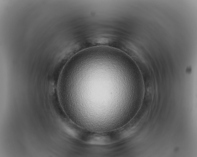 X0000092100555200709191309