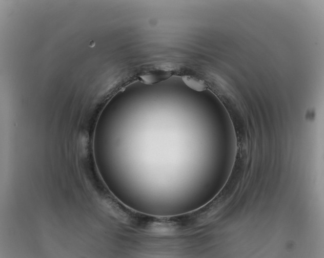 X0000092100556200709191309