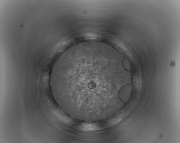 X0000092100557200709191309