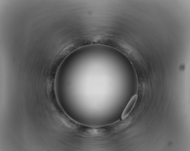 X0000092100558200709191309