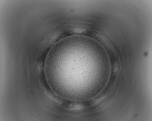 X0000092100559200709191309