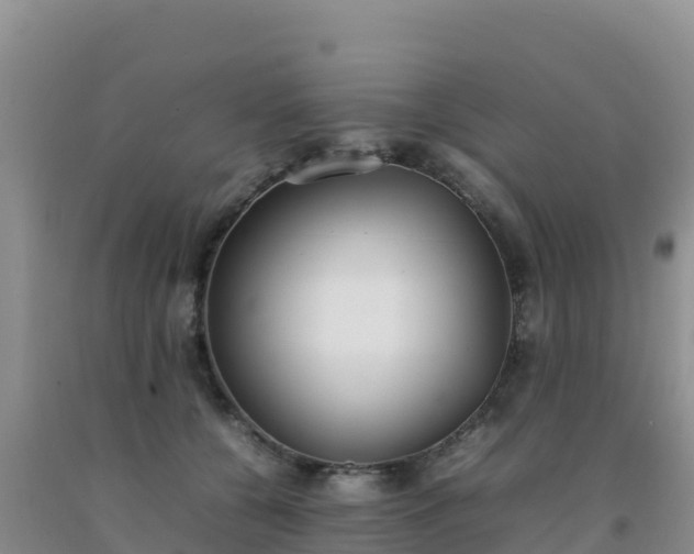 X0000092100560200709191309