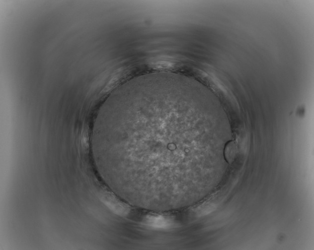 X0000092100561200709191309