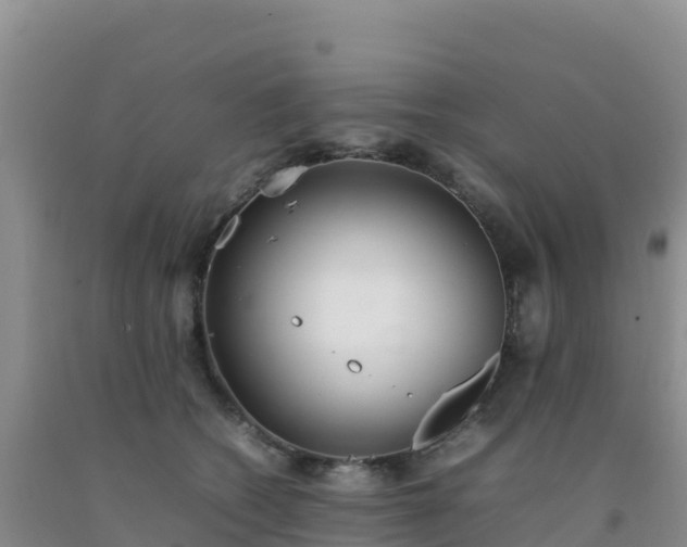 X0000092100562200709191309