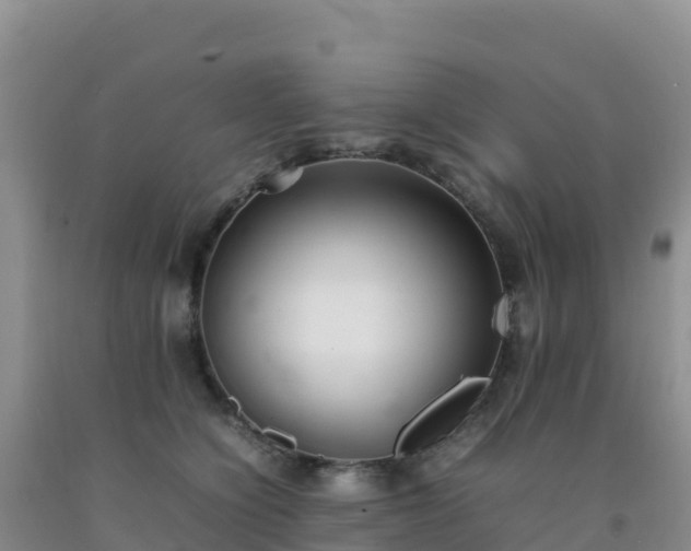 X0000092100564200709191309