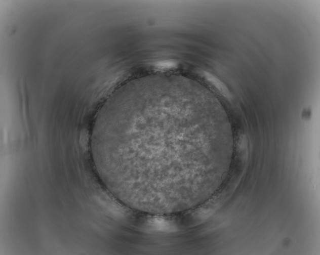 X0000092100565200709191309