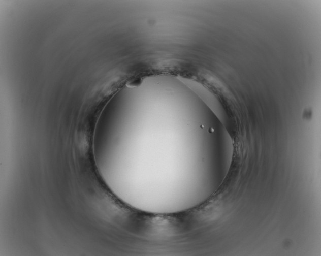 X0000092100566200709191309