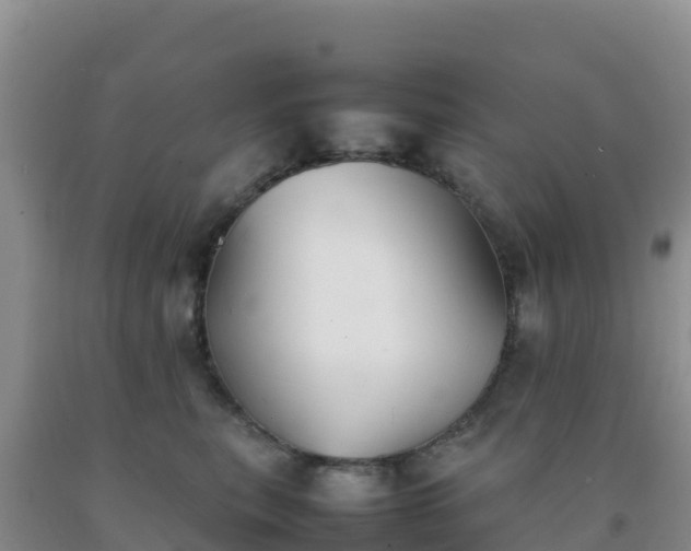 X0000092100567200709191309