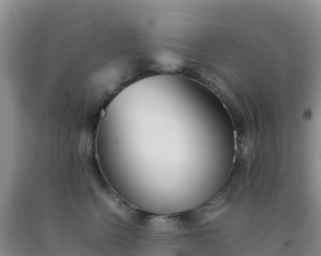 X0000092100568200709191309