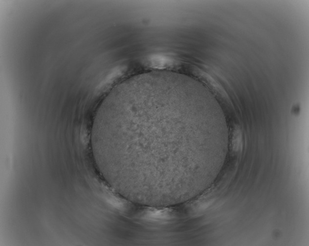 X0000092100569200709191309