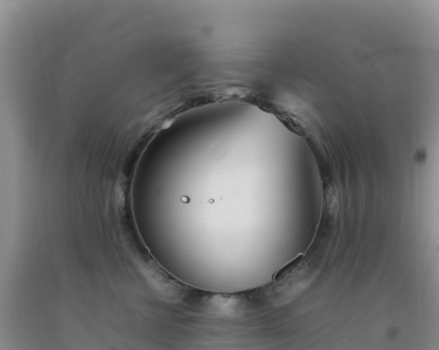 X0000092100570200709191309